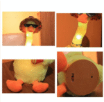 Rosë e zgjuar që këndon duke kërcyer - Image 3