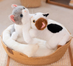 Loder me bateri dhe muzik ne formë mace - Image 2