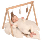 Dyshek dhe Lodra për Foshnje