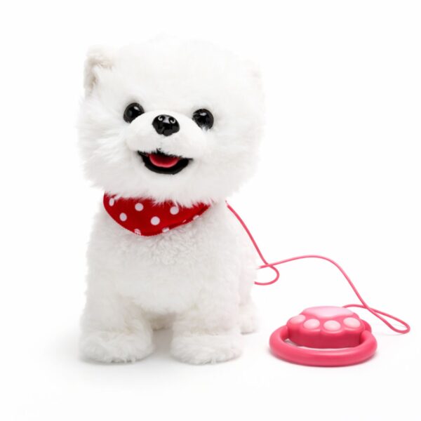 đ¶đ” Qenush i ButĂ«, Interaktiv me MuzikĂ«