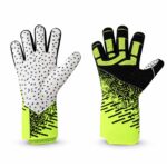 Doreza për portierin