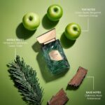 🌿 Aether Extrait de Parfum 100ml - French Avenue - Figura 5